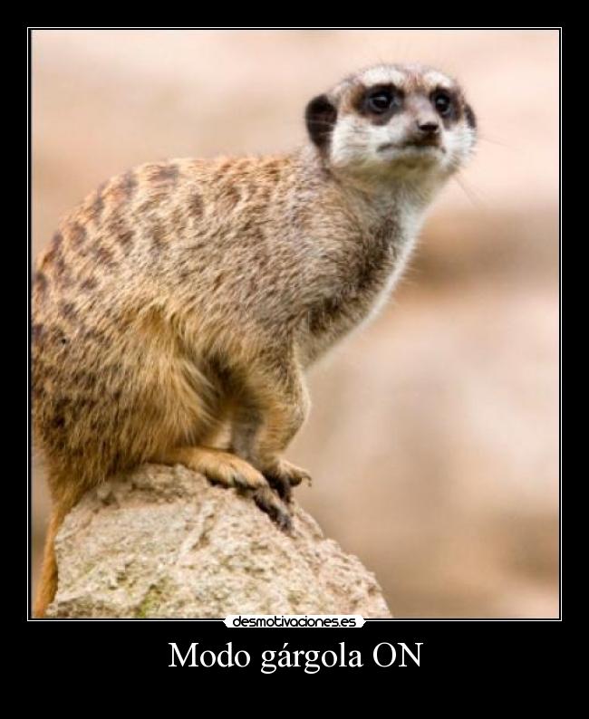 carteles timon desmotivaciones