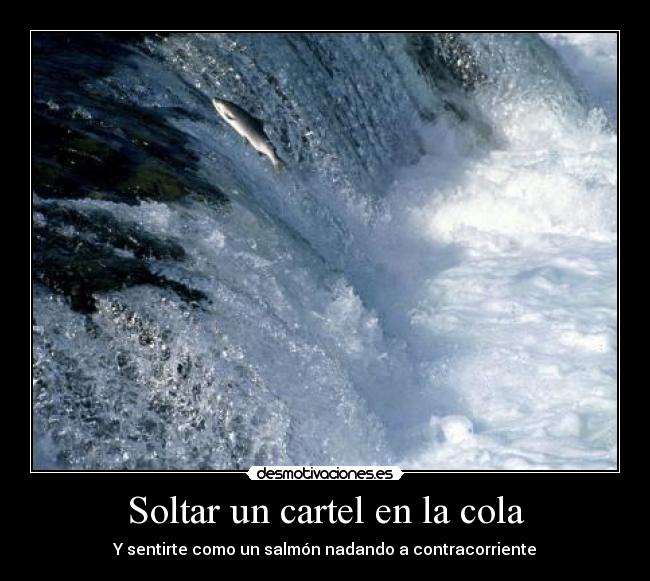 Soltar un cartel en la cola - 