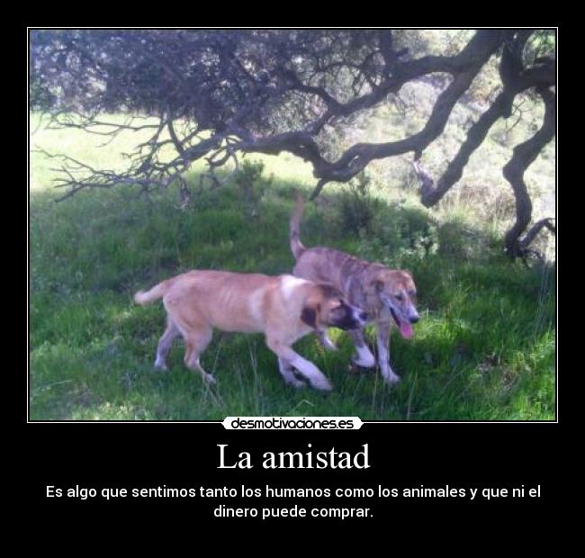 La amistad - 