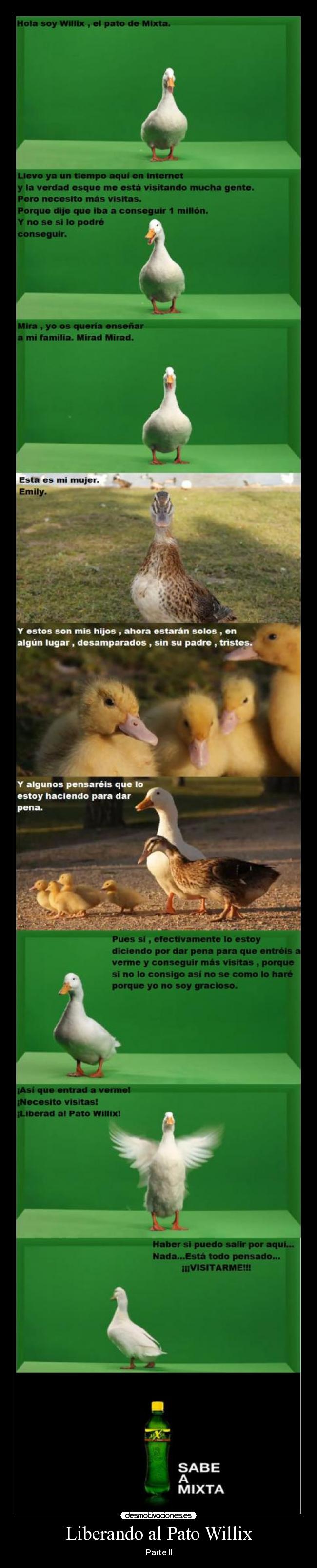 Liberando al Pato Willix - 