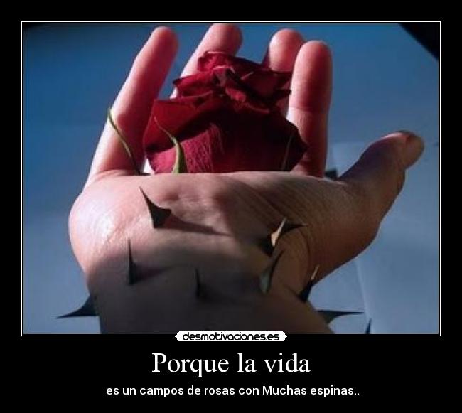 Porque la vida - 