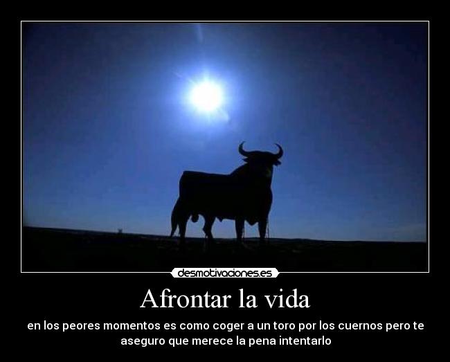 Afrontar la vida - en los peores momentos es como coger a un toro por los cuernos pero te
aseguro que merece la pena intentarlo