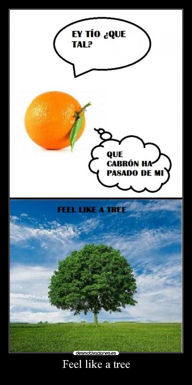 Feel like a tree -