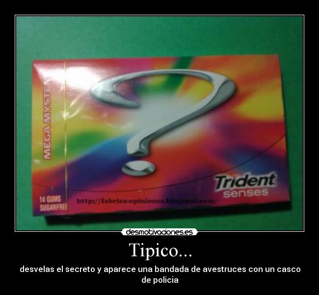 Tipico... - desvelas el secreto y aparece una bandada de avestruces con un casco de policia