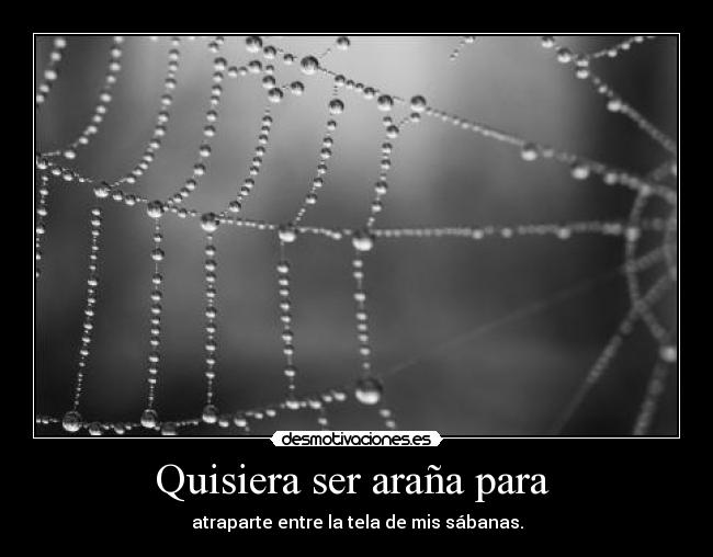 Quisiera ser araña para -