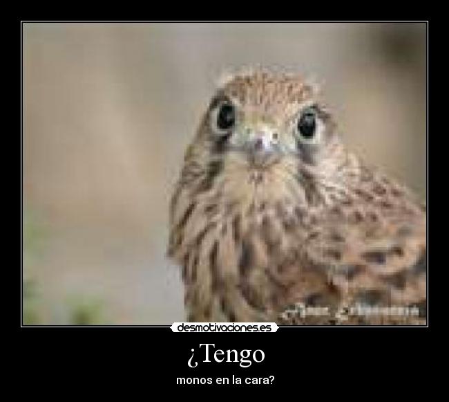 carteles desmotivaciones