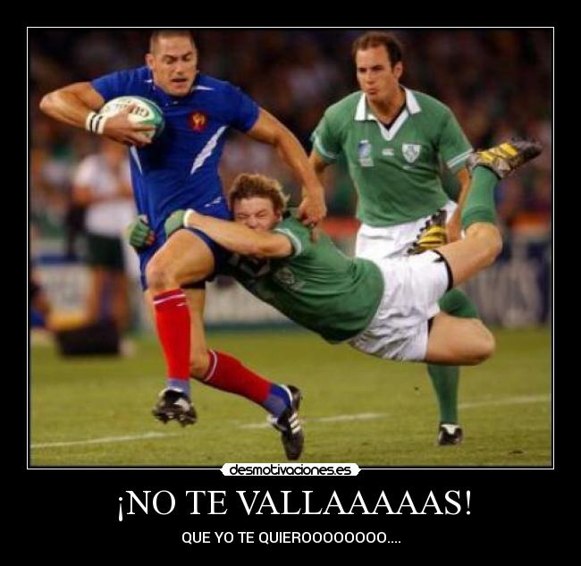 ¡NO TE VALLAAAAAS! - QUE YO TE QUIEROOOOOOOO....