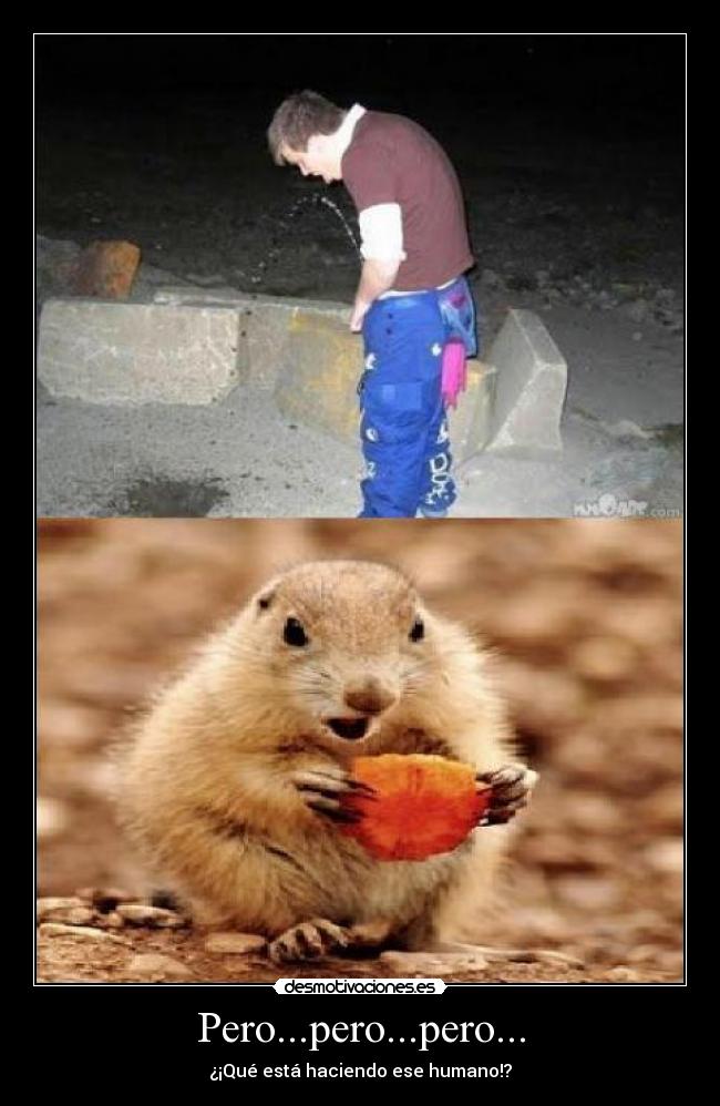Pero...pero...pero... - ¿¡Qué está haciendo ese humano!?
