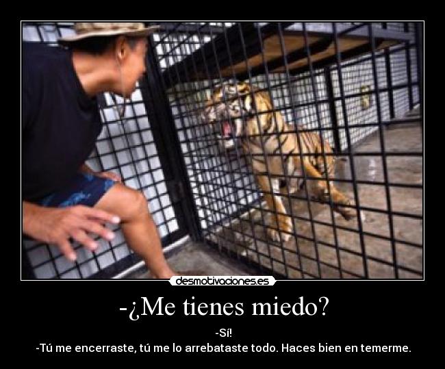 -¿Me tienes miedo? - 