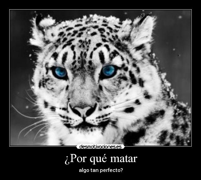 ¿Por qué matar - algo tan perfecto?