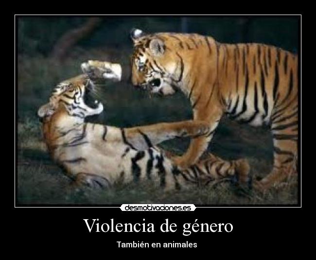Violencia de género - También en animales 