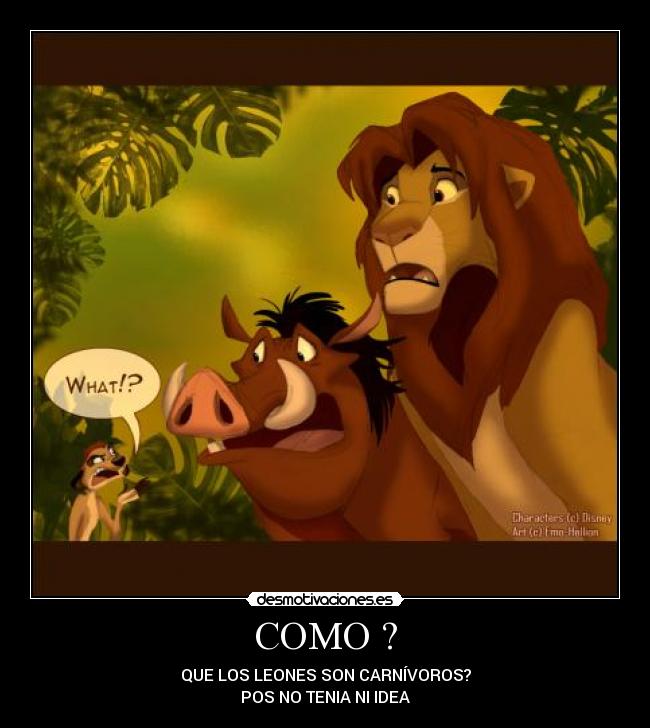 COMO ? - QUE LOS LEONES SON CARNÍVOROS?
POS NO TENIA NI IDEA