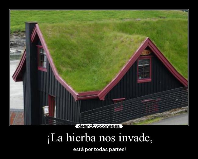 ¡La hierba nos invade, - está por todas partes!