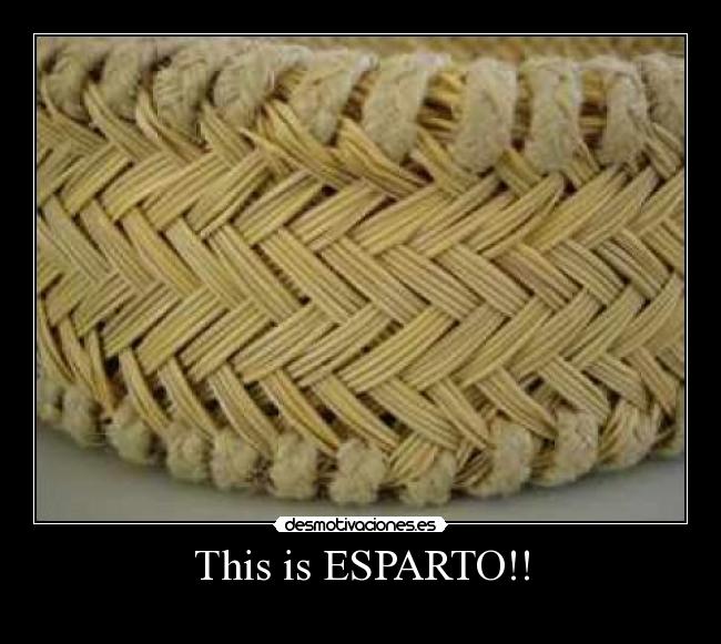 This is ESPARTO!! -