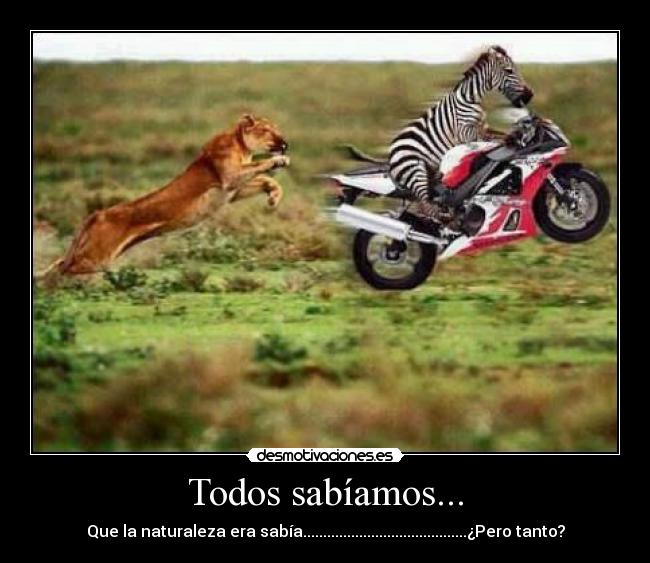 Todos sabíamos... - Que la naturaleza era sabía.........................................¿Pero tanto?