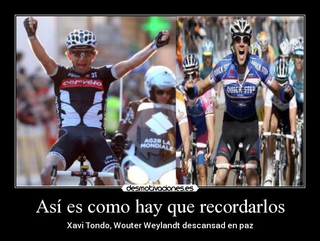 carteles tondo weylandt desmotivaciones