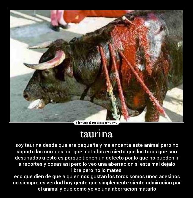 taurina - soy taurina desde que era pequeña y me encanta este animal pero no
soporto las corridas por que matarlos es cierto que los toros que son
destinados a esto es porque tienen un defecto por lo que no pueden ir
a recortes y cosas asi pero lo veo una aberracion si esta mal dejalo
libre pero no lo mates.
eso que dien de que a quien nos gustan los toros somos unos asesinos
no siempre es verdad hay gente que simplemente siente admiracion por
el animal y que como yo ve una aberracion matarlo