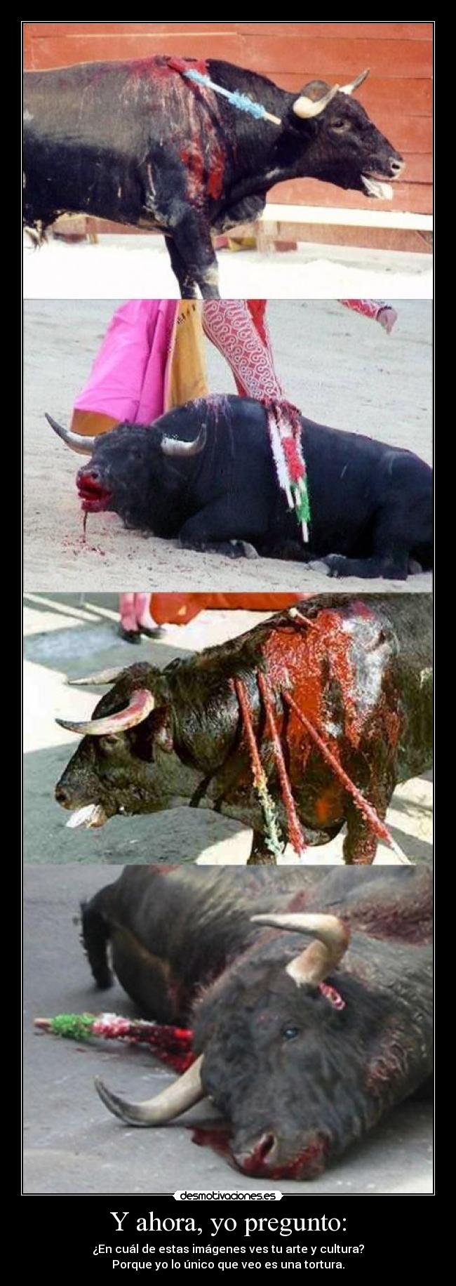 Y ahora, yo pregunto: - 