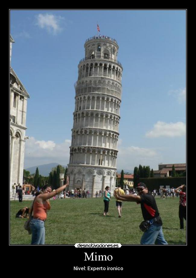 Mimo - Nivel: Experto ironico