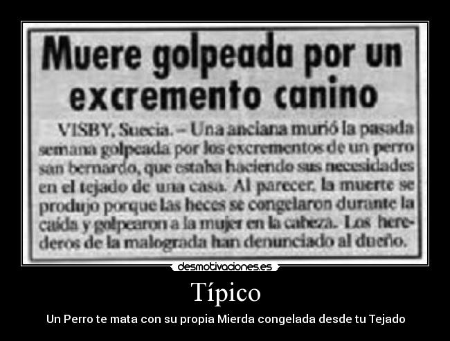 Típico - Un Perro te mata con su propia Mierda congelada desde tu Tejado