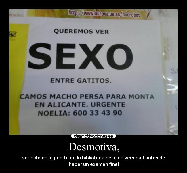 carteles sexo univresidad desmotivaciones