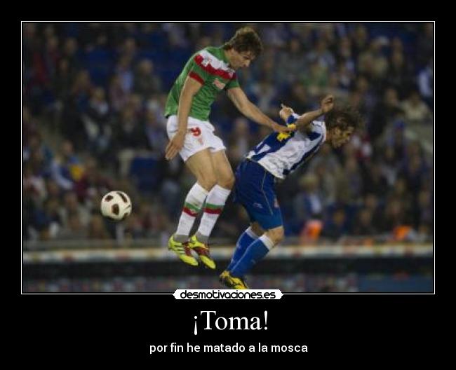 ¡Toma! - por fin he matado a la mosca