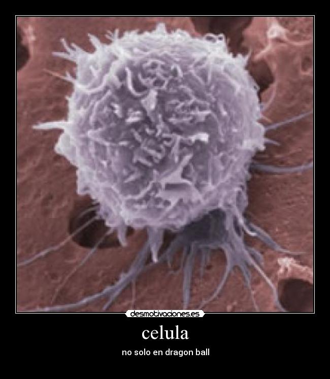 celula - no solo en dragon ball
