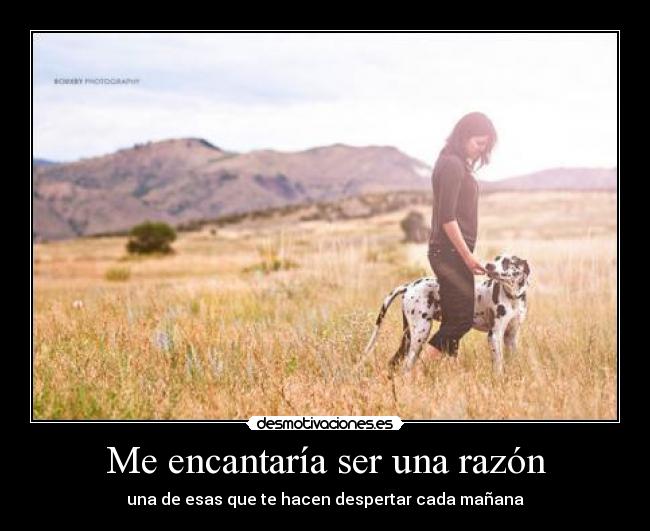 carteles encantaria ser una razon desmotivaciones