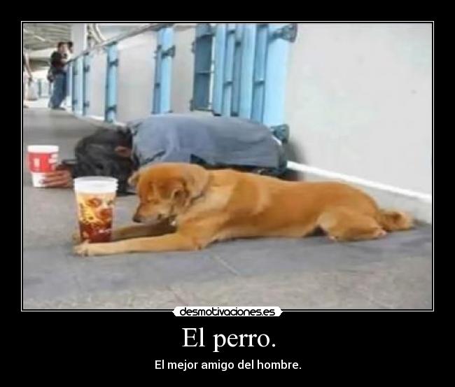 El perro. - El mejor amigo del hombre.