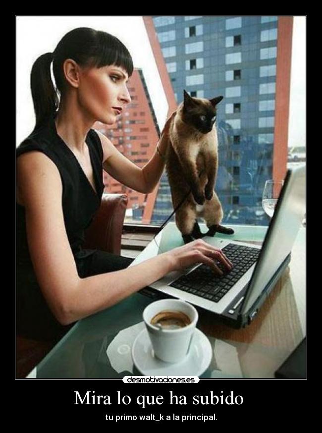 Mira lo que ha subido -