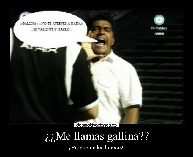 ¿¿Me llamas gallina?? - 