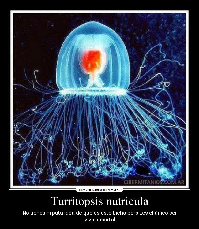 carteles desmotivaciones