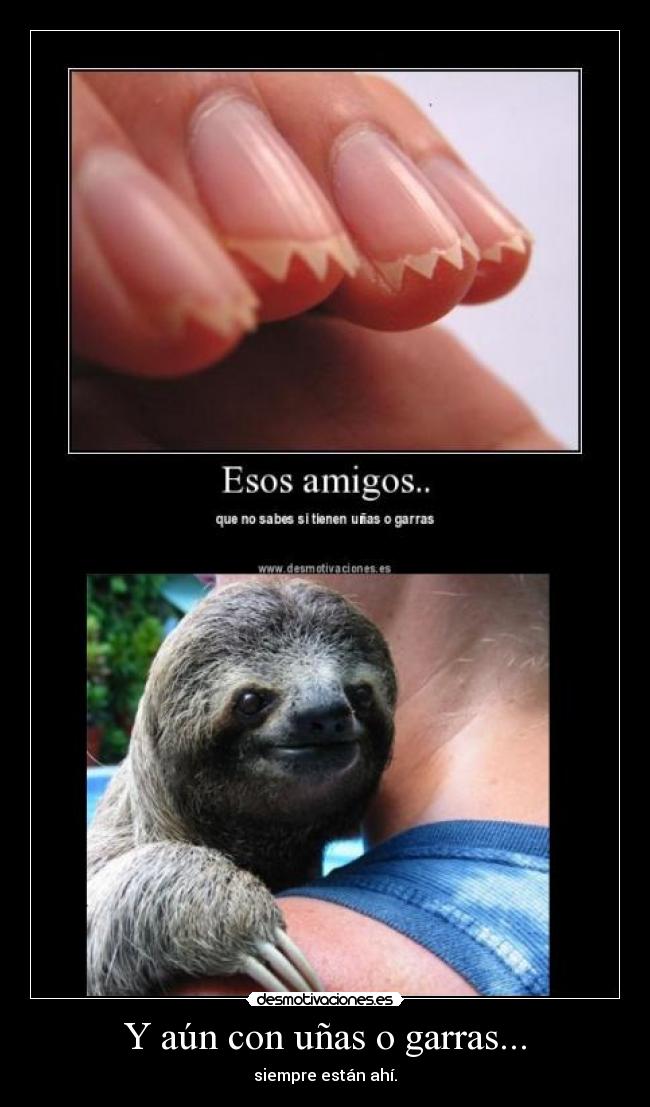 Y aún con uñas o garras... - siempre están ahí.
