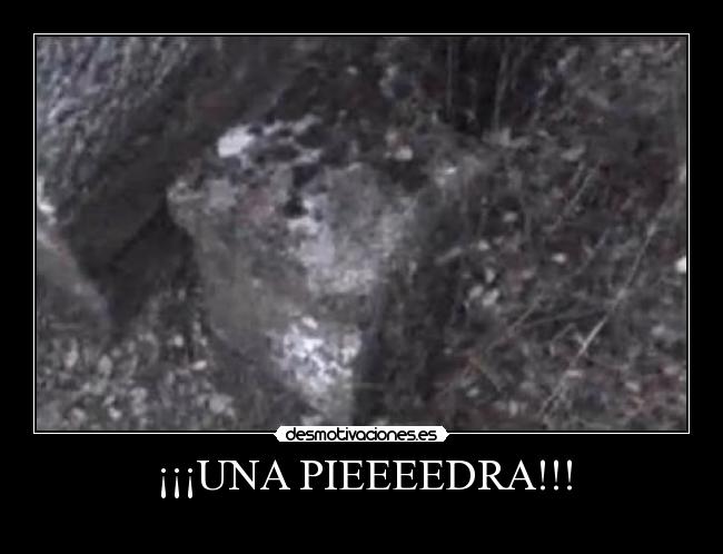 ¡¡¡UNA PIEEEEDRA!!! - 