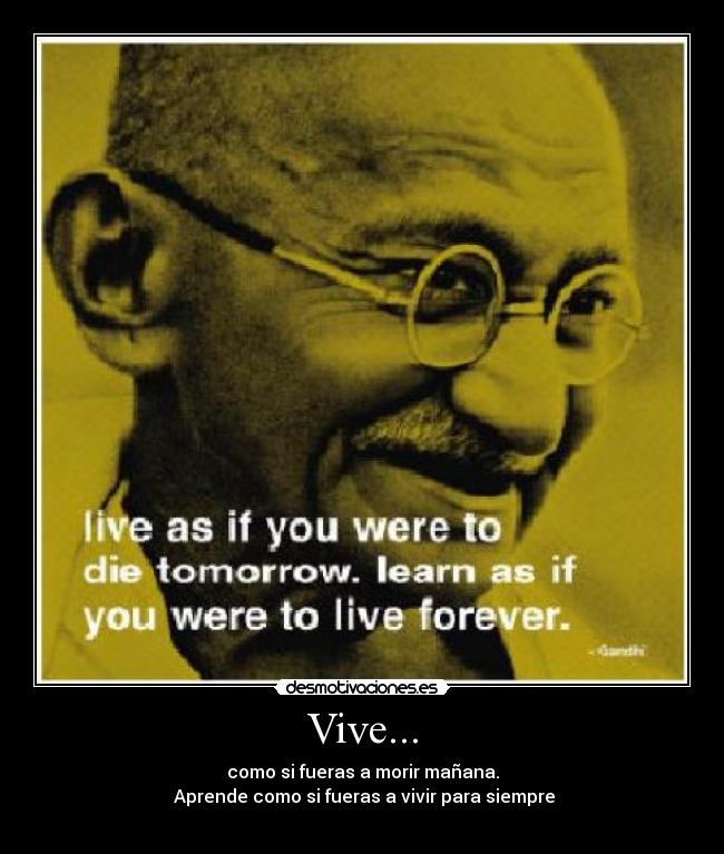 Vive... - 