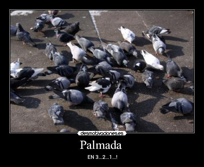 Palmada  - EN 3...2...1...!