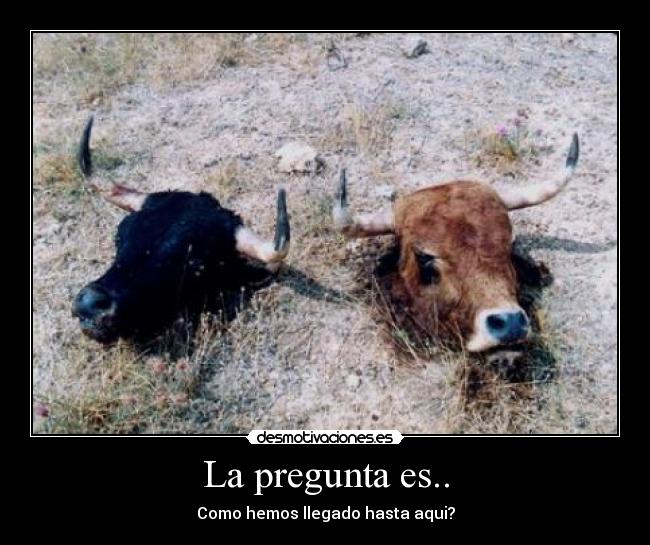 La pregunta es.. - Como hemos llegado hasta aqui?