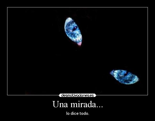 Una mirada... - lo dice todo.