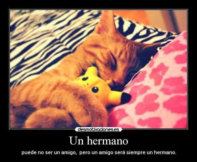 Un hermano - puede no ser un amigo, pero un amigo será siempre un hermano.