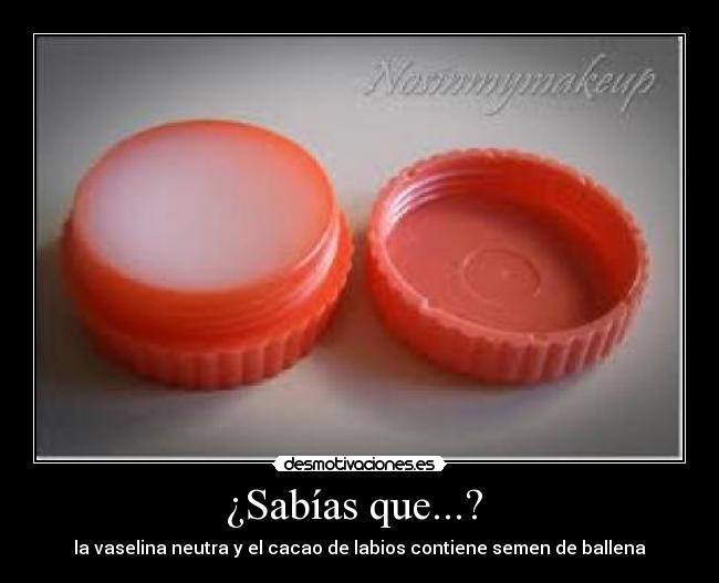 ¿Sabías que...? - la vaselina neutra y el cacao de labios contiene semen de ballena