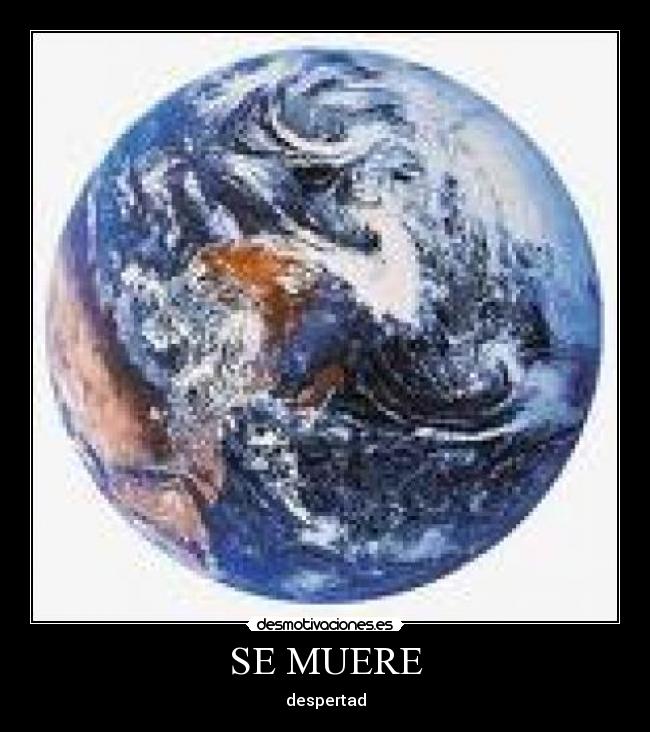 SE MUERE - despertad