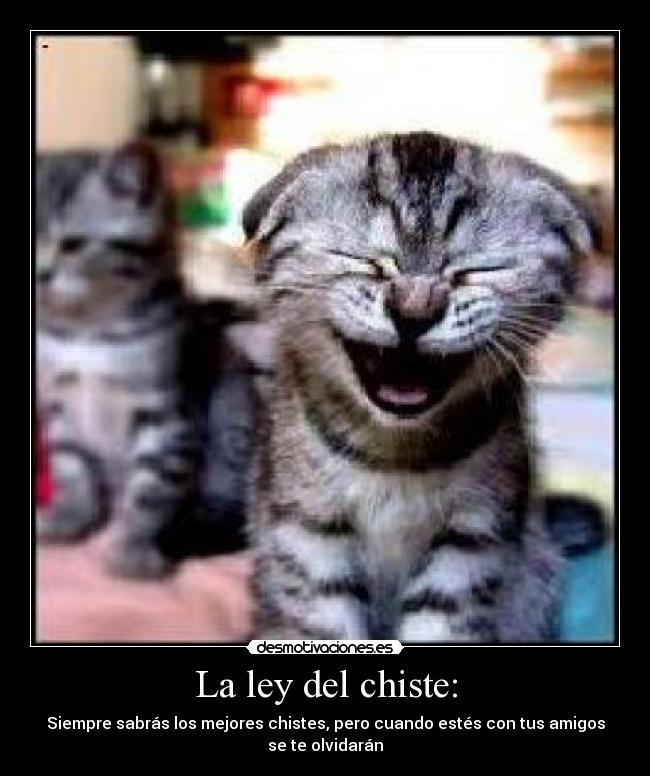 La ley del chiste: - Siempre sabrás los mejores chistes, pero cuando estés con tus amigos
se te olvidarán
