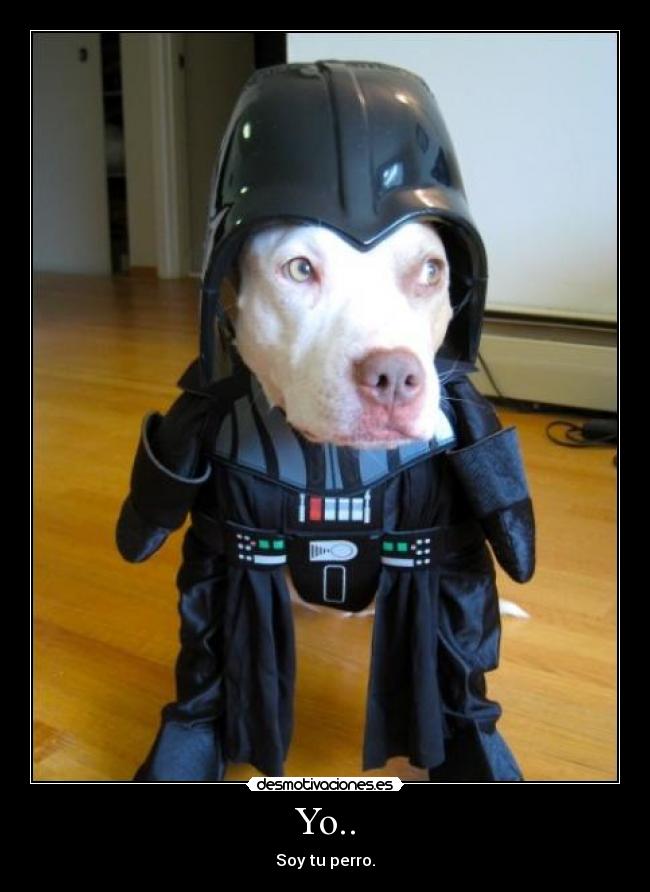 carteles dog vader star wars perro desmotivaciones