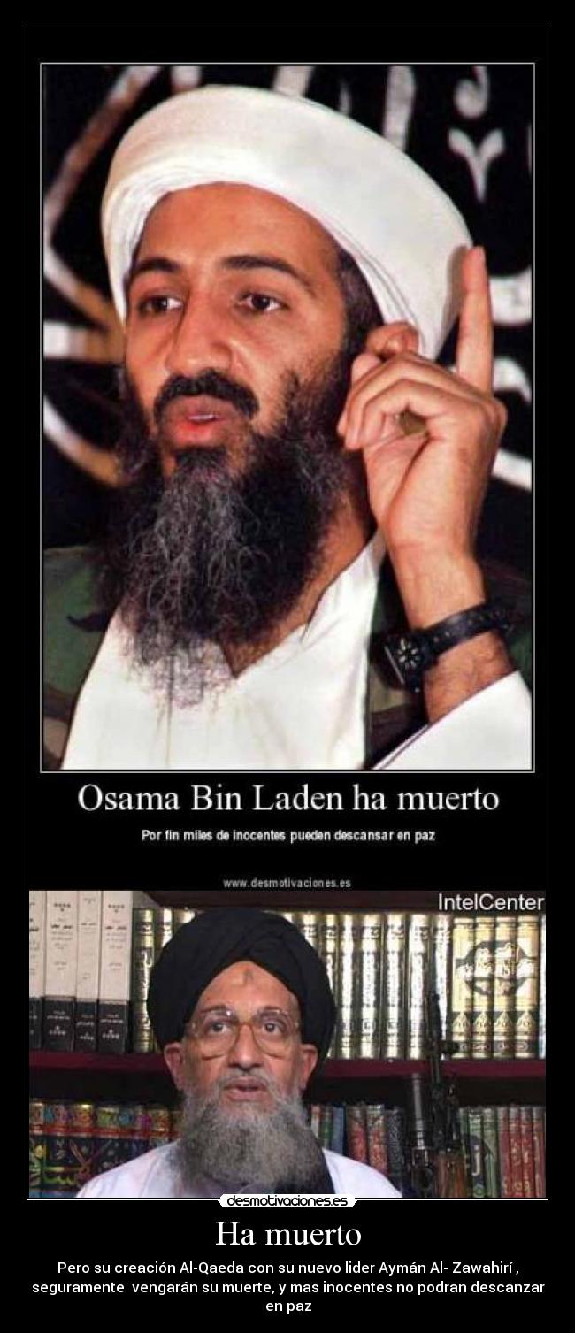 carteles qaeda desmotivaciones