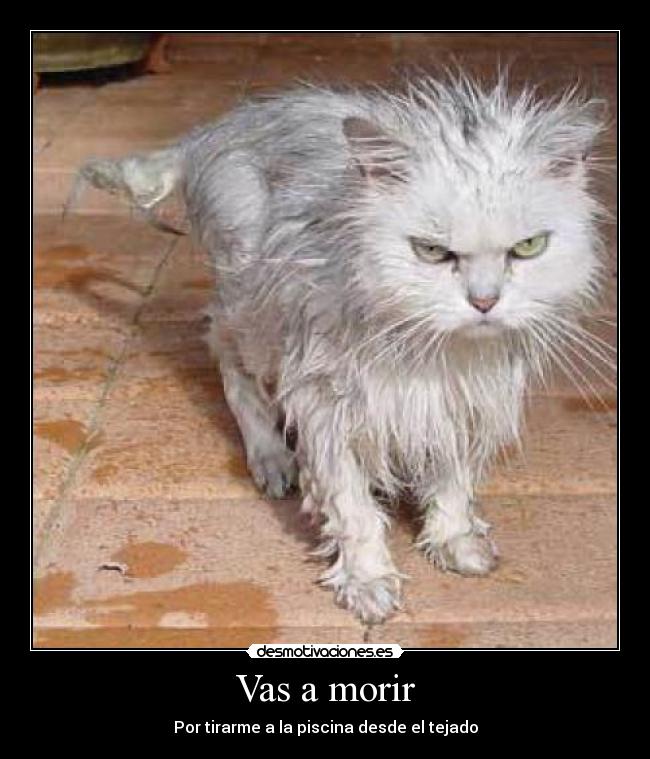 Vas a morir - 