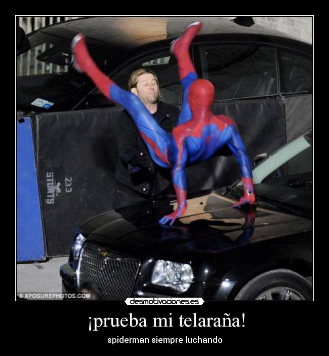 ¡prueba mi telaraña! - 