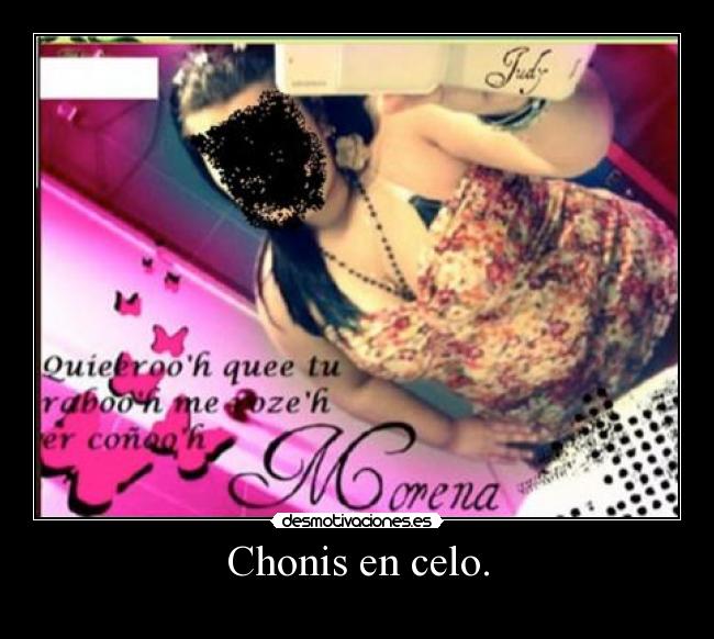Chonis en celo. - 