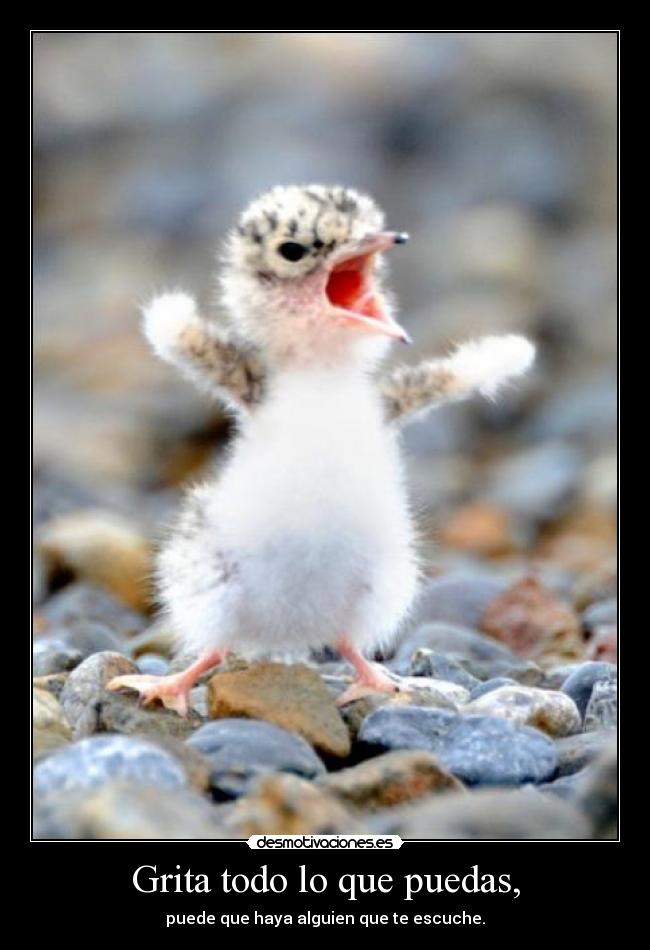 Grita todo lo que puedas, - puede que haya alguien que te escuche.