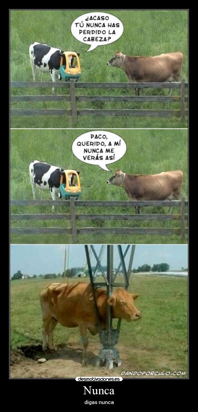 Nunca - digas nunca