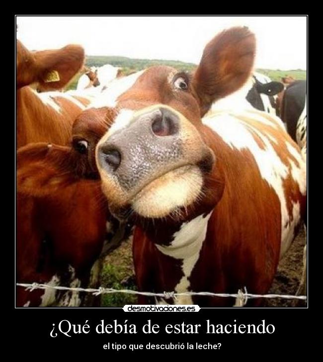 ¿Qué debía de estar haciendo - el tipo que descubrió la leche?